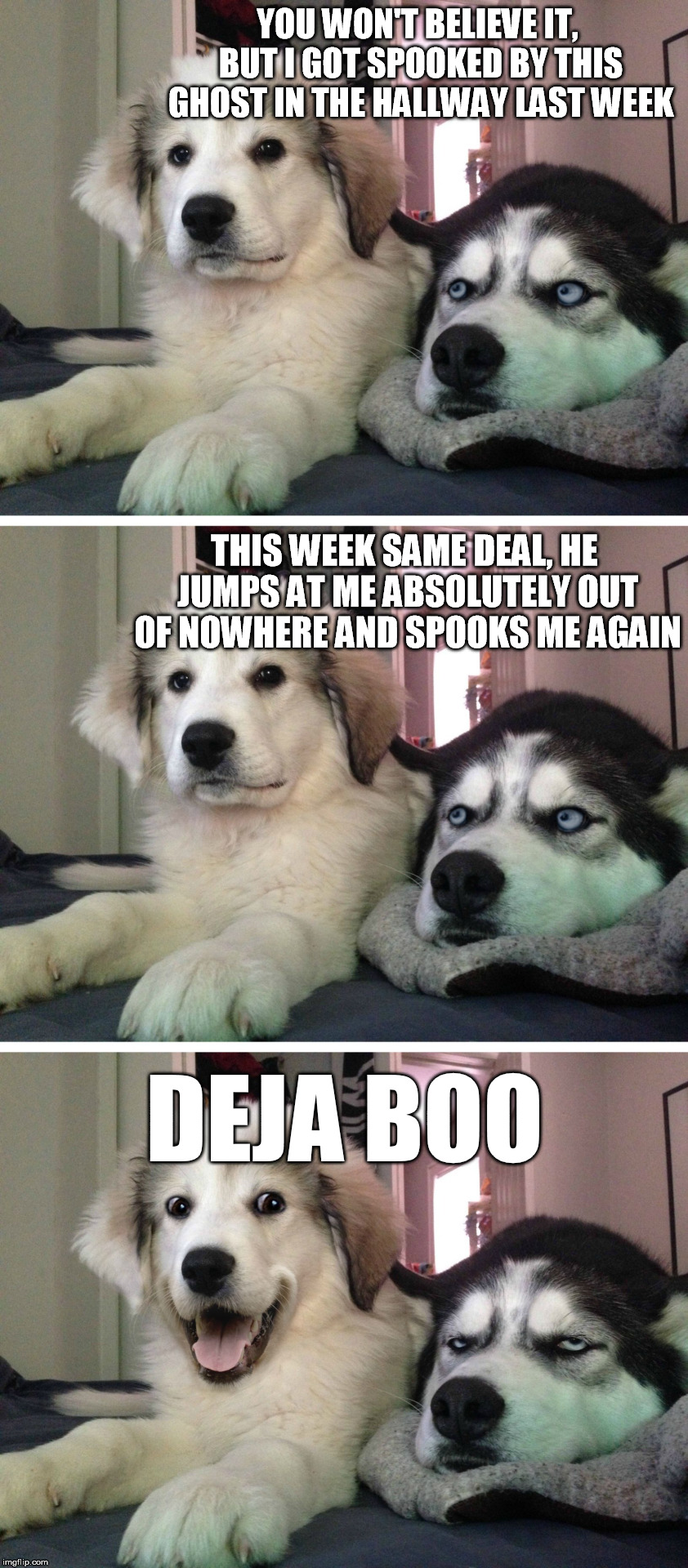 Boo..hiss? | YOU WON'T BELIEVE IT, BUT I GOT SPOOKED BY THIS GHOST IN THE HALLWAY LAST WEEK; THIS WEEK SAME DEAL, HE JUMPS AT ME ABSOLUTELY OUT OF NOWHERE AND SPOOKS ME AGAIN; DEJA BOO | image tagged in bad pun dogs,ghost | made w/ Imgflip meme maker
