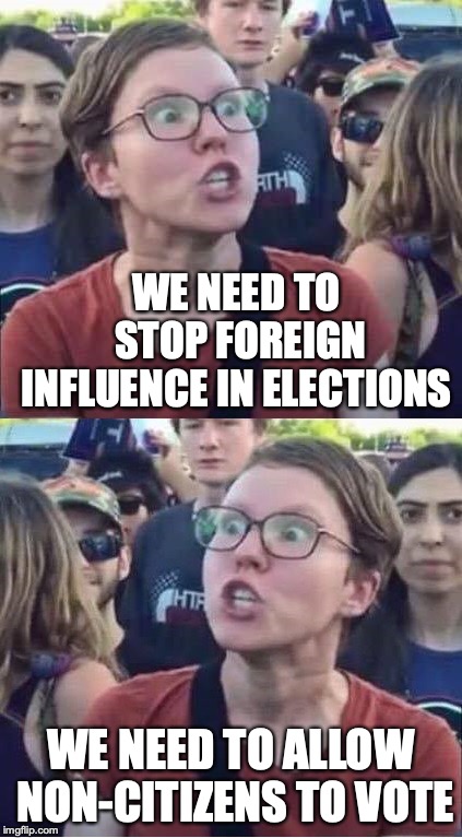 Why can't we do the same to them? | WE NEED TO STOP FOREIGN INFLUENCE IN ELECTIONS; WE NEED TO ALLOW NON-CITIZENS TO VOTE | image tagged in angry liberal hypocrite,elections,open borders | made w/ Imgflip meme maker