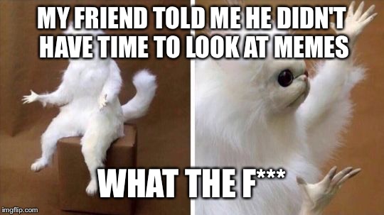 My Friend Told Me... | MY FRIEND TOLD ME HE DIDN'T HAVE TIME TO LOOK AT MEMES; WHAT THE F*** | image tagged in wtf cat,look at memes | made w/ Imgflip meme maker