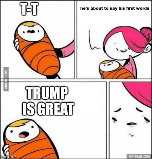 This Baby is an Idiot | T-T; TRUMP IS GREAT | image tagged in he is about to say his first words,politics,trump | made w/ Imgflip meme maker