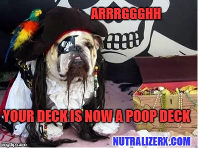 poop deck  | ARRRGGGHH; YOUR DECK IS NOW A POOP DECK; NUTRALIZERX.COM | image tagged in funny dog memes,pirate,halloween,funny,boat | made w/ Imgflip meme maker