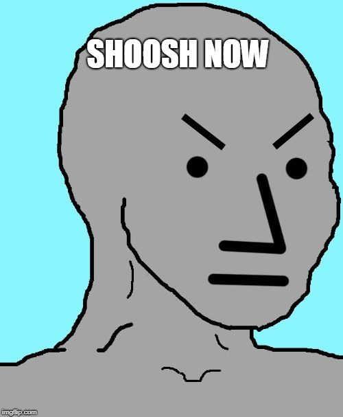 NPC meme angry | SHOOSH NOW | image tagged in npc meme angry | made w/ Imgflip meme maker