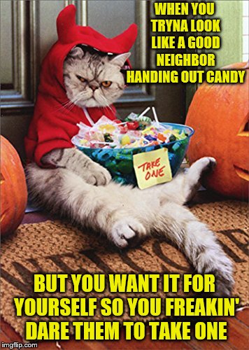 It's my candy, I bought it. |  WHEN YOU TRYNA LOOK LIKE A GOOD NEIGHBOR HANDING OUT CANDY; BUT YOU WANT IT FOR YOURSELF SO YOU FREAKIN' DARE THEM TO TAKE ONE | image tagged in memes,halloween,funny,devil cat,candy,trick or treat | made w/ Imgflip meme maker