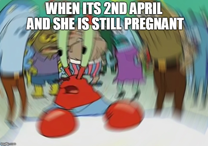 Mr Krabs Blur Meme | WHEN ITS 2ND APRIL AND SHE IS STILL PREGNANT | image tagged in memes,mr krabs blur meme | made w/ Imgflip meme maker