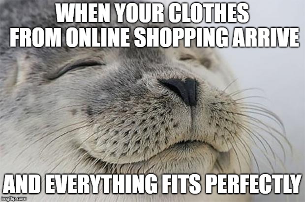 Satisfied Seal Meme | WHEN YOUR CLOTHES FROM ONLINE SHOPPING ARRIVE; AND EVERYTHING FITS PERFECTLY | image tagged in memes,satisfied seal | made w/ Imgflip meme maker