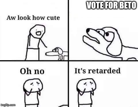 retarded dog | VOTE FOR BETO | image tagged in retarded dog | made w/ Imgflip meme maker