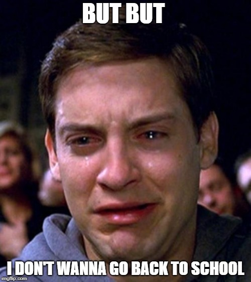 crying peter parker | BUT BUT; I DON'T WANNA GO BACK TO SCHOOL | image tagged in crying peter parker | made w/ Imgflip meme maker