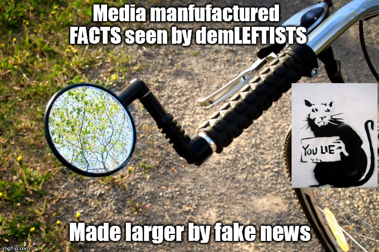 Manufactured perceptions fake news | Media manfufactured FACTS seen by demLEFTISTS; Made larger by fake news | image tagged in fake news,truth,lying rat | made w/ Imgflip meme maker