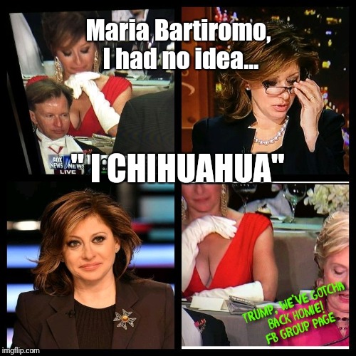 The Beautiful Maria Bartiromo  | Maria Bartiromo, I had no idea... " I CHIHUAHUA" | image tagged in red dress,al smith,fox news anchor,conservative women,hillary roast,cnn | made w/ Imgflip meme maker