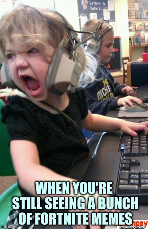 Angry Gamer Girl | WHEN YOU'RE STILL SEEING A BUNCH OF FORTNITE MEMES | image tagged in screaming gamer girl | made w/ Imgflip meme maker