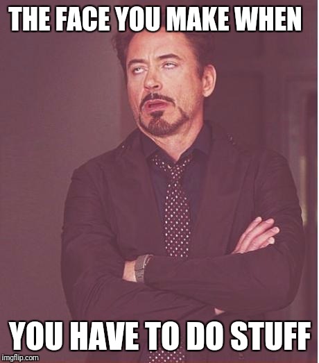 Face You Make Robert Downey Jr | THE FACE YOU MAKE WHEN; YOU HAVE TO DO STUFF | image tagged in memes,face you make robert downey jr | made w/ Imgflip meme maker
