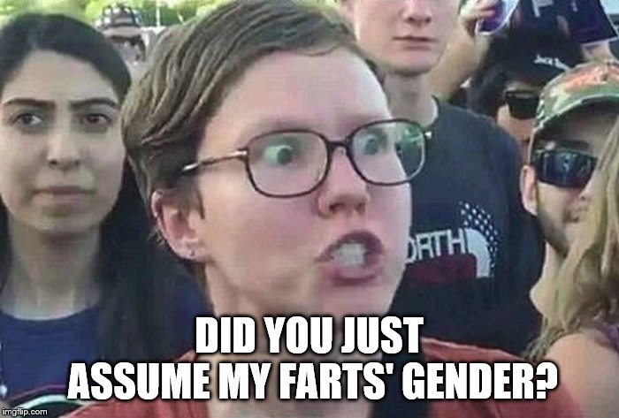 Triggered Liberal | DID YOU JUST ASSUME MY FARTS' GENDER? | image tagged in triggered liberal | made w/ Imgflip meme maker