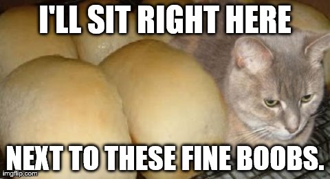 I'LL SIT RIGHT HERE NEXT TO THESE FINE BOOBS. | made w/ Imgflip meme maker