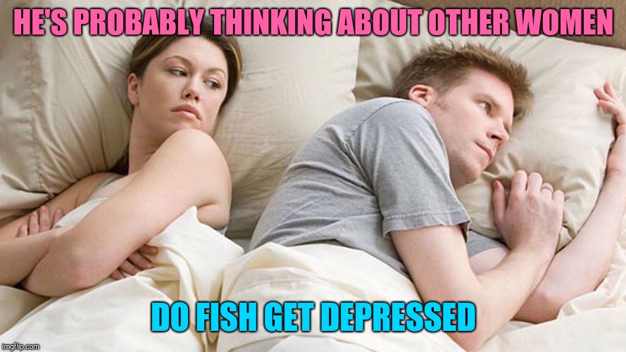 He's probably thinking about girls | HE'S PROBABLY THINKING ABOUT OTHER WOMEN; DO FISH GET DEPRESSED | image tagged in he's probably thinking about girls | made w/ Imgflip meme maker