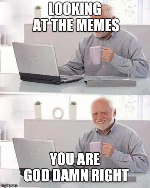 Hide the Pain Harold Meme | LOOKING AT THE MEMES YOU ARE GO***AMN RIGHT | image tagged in memes,hide the pain harold | made w/ Imgflip meme maker