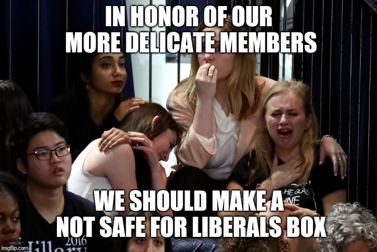 Then we can express diverse opinions without outrage | IN HONOR OF OUR MORE DELICATE MEMBERS; WE SHOULD MAKE A NOT SAFE FOR LIBERALS BOX | image tagged in liberals crying | made w/ Imgflip meme maker