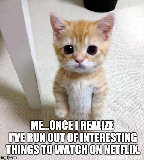 Cute Cat Meme |  ME...ONCE I REALIZE I'VE RUN OUT OF INTERESTING THINGS TO WATCH ON NETFLIX. | image tagged in memes,cute cat | made w/ Imgflip meme maker