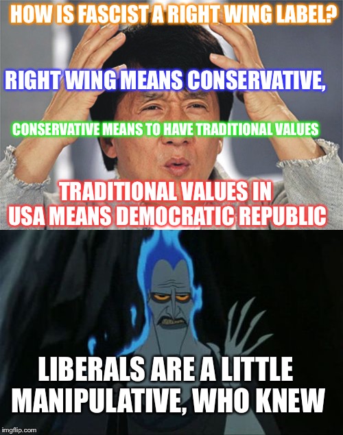 Fascist conservatives?! | HOW IS FASCIST A RIGHT WING LABEL? RIGHT WING MEANS CONSERVATIVE, CONSERVATIVE MEANS TO HAVE TRADITIONAL VALUES; TRADITIONAL VALUES IN USA MEANS DEMOCRATIC REPUBLIC; LIBERALS ARE A LITTLE MANIPULATIVE, WHO KNEW | image tagged in jackie chan wtf | made w/ Imgflip meme maker