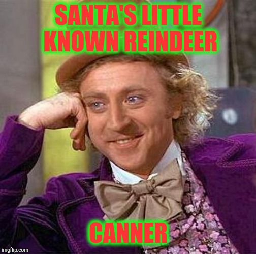 Creepy Condescending Wonka Meme | SANTA'S LITTLE KNOWN REINDEER CANNER | image tagged in memes,creepy condescending wonka | made w/ Imgflip meme maker