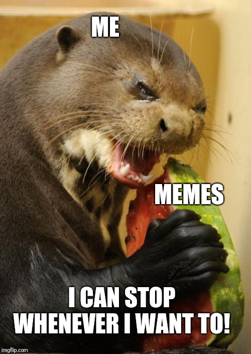 You are no one to judge me! | ME; MEMES; I CAN STOP WHENEVER I WANT TO! | image tagged in memes,self loathing otter | made w/ Imgflip meme maker