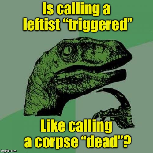 Redundancy | Is calling a leftist “triggered”; Like calling a corpse “dead”? | image tagged in memes,philosoraptor,leftists,triggered | made w/ Imgflip meme maker