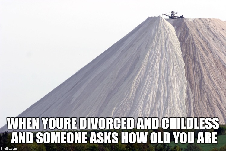 Woman feeling salty | WHEN YOURE DIVORCED AND CHILDLESS AND SOMEONE ASKS HOW OLD YOU ARE | image tagged in salty | made w/ Imgflip meme maker