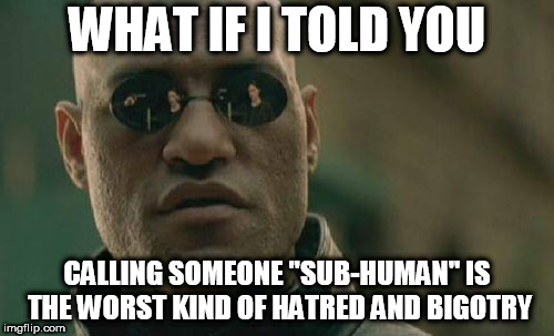 Matrix Morpheus Meme | WHAT IF I TOLD YOU; CALLING SOMEONE "SUB-HUMAN" IS THE WORST KIND OF HATRED AND BIGOTRY | image tagged in memes,matrix morpheus,subhuman,sub human,sub-human,bigotry | made w/ Imgflip meme maker