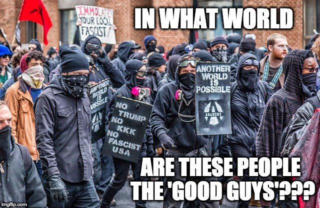 In what world? | IN WHAT WORLD; ARE THESE PEOPLE THE 'GOOD GUYS'??? | image tagged in antifa,fascists,terrorists,liberal logic | made w/ Imgflip meme maker