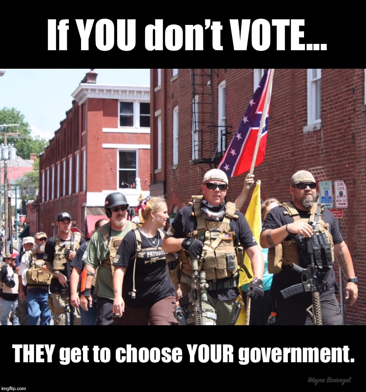 If you don’t vote they get to choose your government  | If YOU don’t VOTE... THEY get to choose YOUR government. Wayne Breivogel | image tagged in neo-nazis,vote,intolerance | made w/ Imgflip meme maker