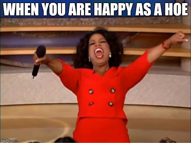 Oprah You Get A | WHEN YOU ARE HAPPY AS A HOE | image tagged in memes,oprah you get a | made w/ Imgflip meme maker