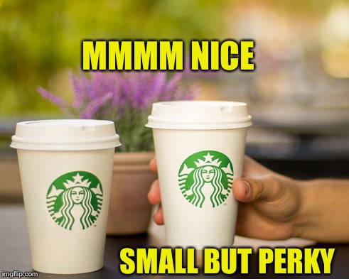 MMMM NICE SMALL BUT PERKY | made w/ Imgflip meme maker