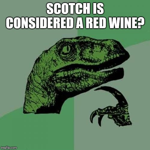 Philosoraptor Meme | SCOTCH IS CONSIDERED A RED WINE? | image tagged in memes,philosoraptor | made w/ Imgflip meme maker