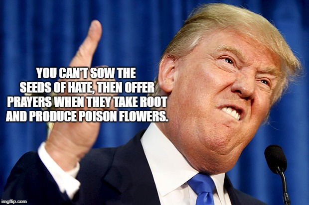 Donald Trump | YOU CAN'T SOW THE SEEDS OF HATE, THEN OFFER PRAYERS WHEN THEY TAKE ROOT AND PRODUCE POISON FLOWERS. | image tagged in donald trump | made w/ Imgflip meme maker