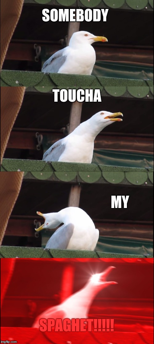 Inhaling Seagull | SOMEBODY; TOUCHA; MY; SPAGHET!!!!! | image tagged in memes,inhaling seagull | made w/ Imgflip meme maker