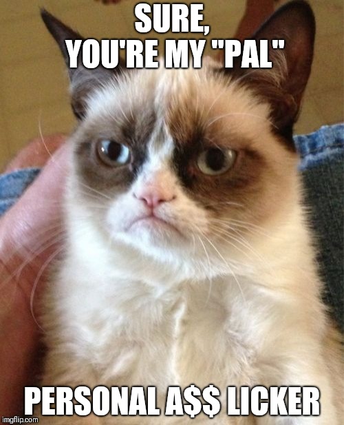 Grumpy Cat Meme | SURE, YOU'RE MY "PAL"; PERSONAL A$$ LICKER | image tagged in memes,grumpy cat | made w/ Imgflip meme maker