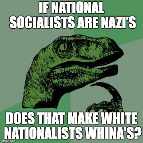 Philosoraptor | IF NATIONAL SOCIALISTS ARE NAZI'S; DOES THAT MAKE WHITE NATIONALISTS WHINA'S? | image tagged in memes,philosoraptor | made w/ Imgflip meme maker