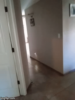 Yeah.. | image tagged in gifs,ok | made w/ Imgflip video-to-gif maker
