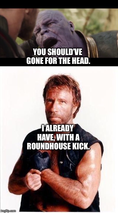 Chuck Norris defeats Thanos  | YOU SHOULD’VE GONE FOR THE HEAD. I ALREADY HAVE, WITH A ROUNDHOUSE KICK. | image tagged in chuck norris,marvel,thanos,thanos snap | made w/ Imgflip meme maker