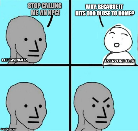 Is this politics or gaming? |  WHY, BECAUSE IT HITS TOO CLOSE TO HOME? STOP CALLING ME  AN NPC! LEFT-WINGER; EVERYONE ELSE | image tagged in npc meme,memes | made w/ Imgflip meme maker