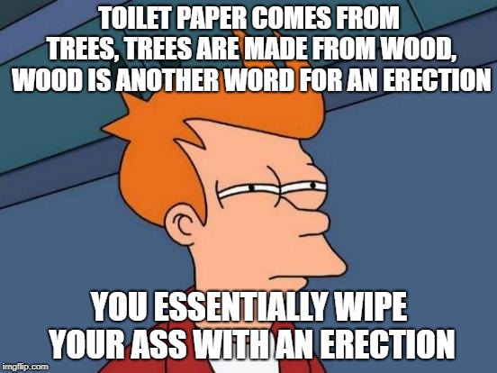 Futurama Fry | TOILET PAPER COMES FROM TREES, TREES ARE MADE FROM WOOD, WOOD IS ANOTHER WORD FOR AN ERECTION; YOU ESSENTIALLY WIPE YOUR ASS WITH AN ERECTION | image tagged in memes,futurama fry | made w/ Imgflip meme maker