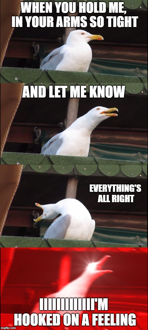 Inhaling Seagull Meme | WHEN YOU HOLD ME, IN YOUR ARMS SO TIGHT; AND LET ME KNOW; EVERYTHING'S ALL RIGHT; IIIIIIIIIIIII'M HOOKED ON A FEELING | image tagged in memes,inhaling seagull | made w/ Imgflip meme maker