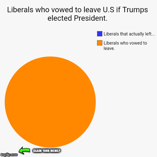 Repost: Liberals Who Vowed To Leave U.S If Trump Is Elected President | CLAIM YOUR MEME? | image tagged in trump,liberals,can you name all of them,or is the list too long | made w/ Imgflip meme maker