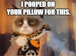 Grumpy cat pooped on pillow | I POOPED ON YOUR PILLOW FOR THIS. | image tagged in memes,grumpy cat halloween,grumpy cat | made w/ Imgflip meme maker