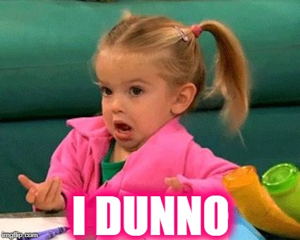 I don't know (Good Luck Charlie) | I DUNNO | image tagged in i don't know good luck charlie | made w/ Imgflip meme maker