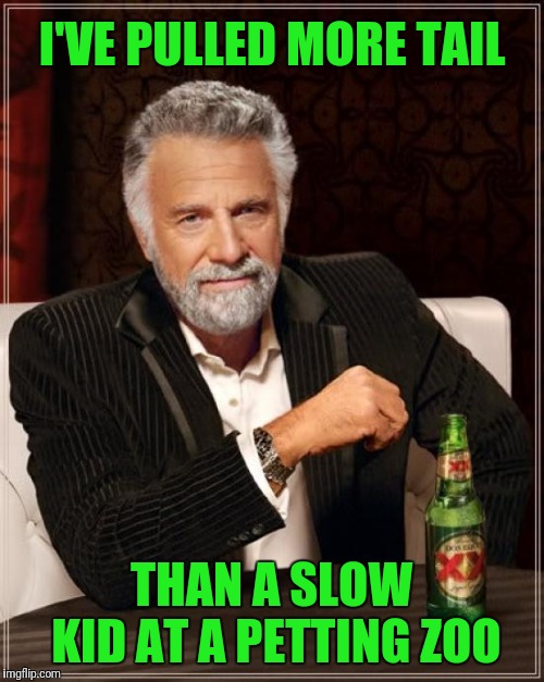 For the most interesting man that goes without saying | I'VE PULLED MORE TAIL; THAN A SLOW KID AT A PETTING ZOO | image tagged in memes,the most interesting man in the world | made w/ Imgflip meme maker