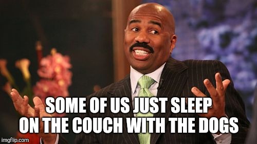 Steve Harvey Meme | SOME OF US JUST SLEEP ON THE COUCH WITH THE DOGS | image tagged in memes,steve harvey | made w/ Imgflip meme maker