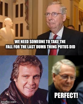 Perfect Fall Guy | WE NEED SOMEONE TO TAKE THE FALL FOR THE LAST DUMB THING POTUS DID; PERFECT! | image tagged in memes,mitch mcconnell,fall guy | made w/ Imgflip meme maker