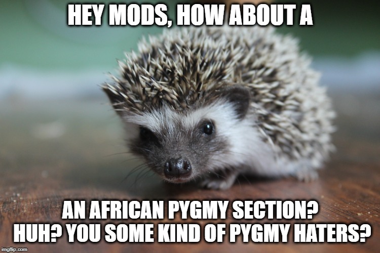 Left out | HEY MODS, HOW ABOUT A; AN AFRICAN PYGMY SECTION? HUH? YOU SOME KIND OF PYGMY HATERS? | image tagged in memes,funny memes,imgflip | made w/ Imgflip meme maker