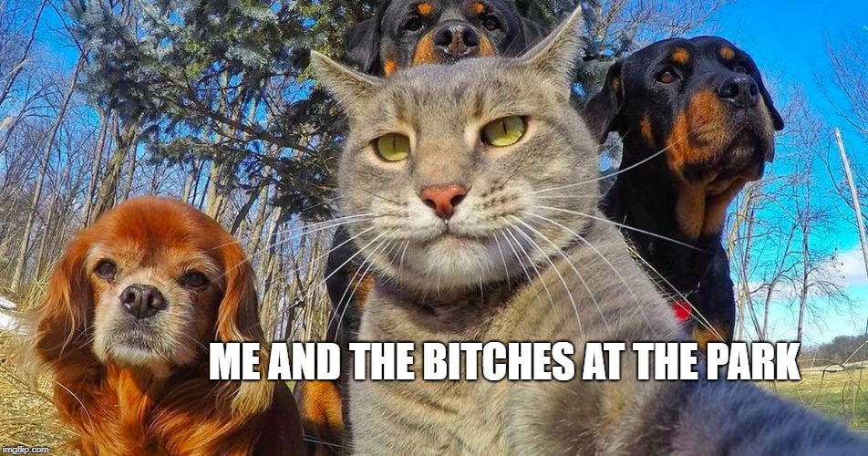 ME AND THE B**CHES AT THE PARK | made w/ Imgflip meme maker