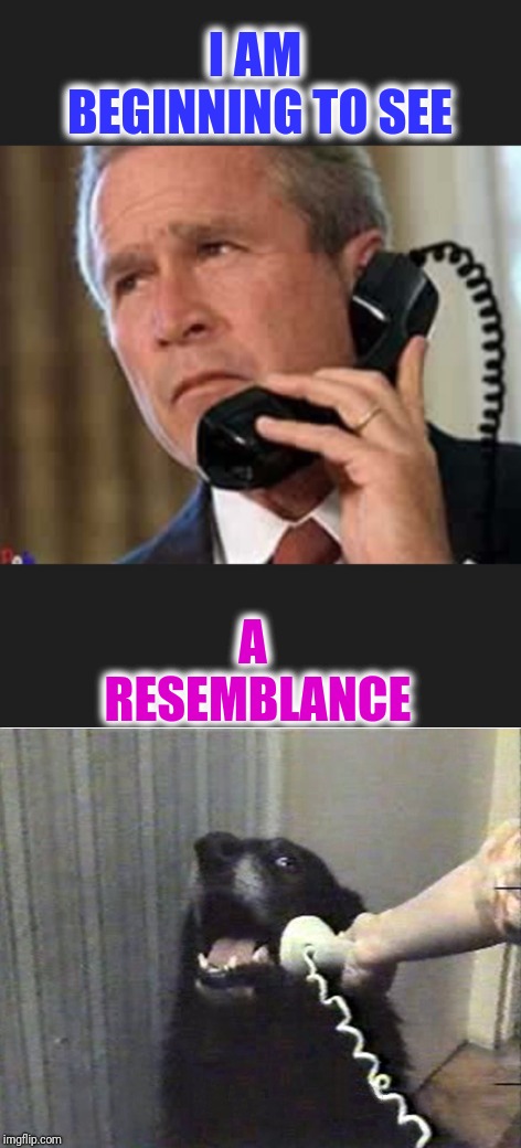 I see a resemblance  | I AM BEGINNING TO SEE; A RESEMBLANCE | image tagged in george bush,hello this is dog,memes,funny | made w/ Imgflip meme maker